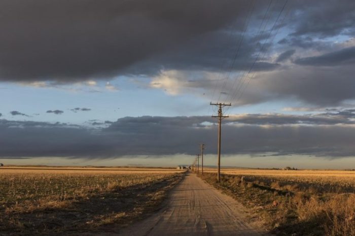 Electrical posts on a countryside road.