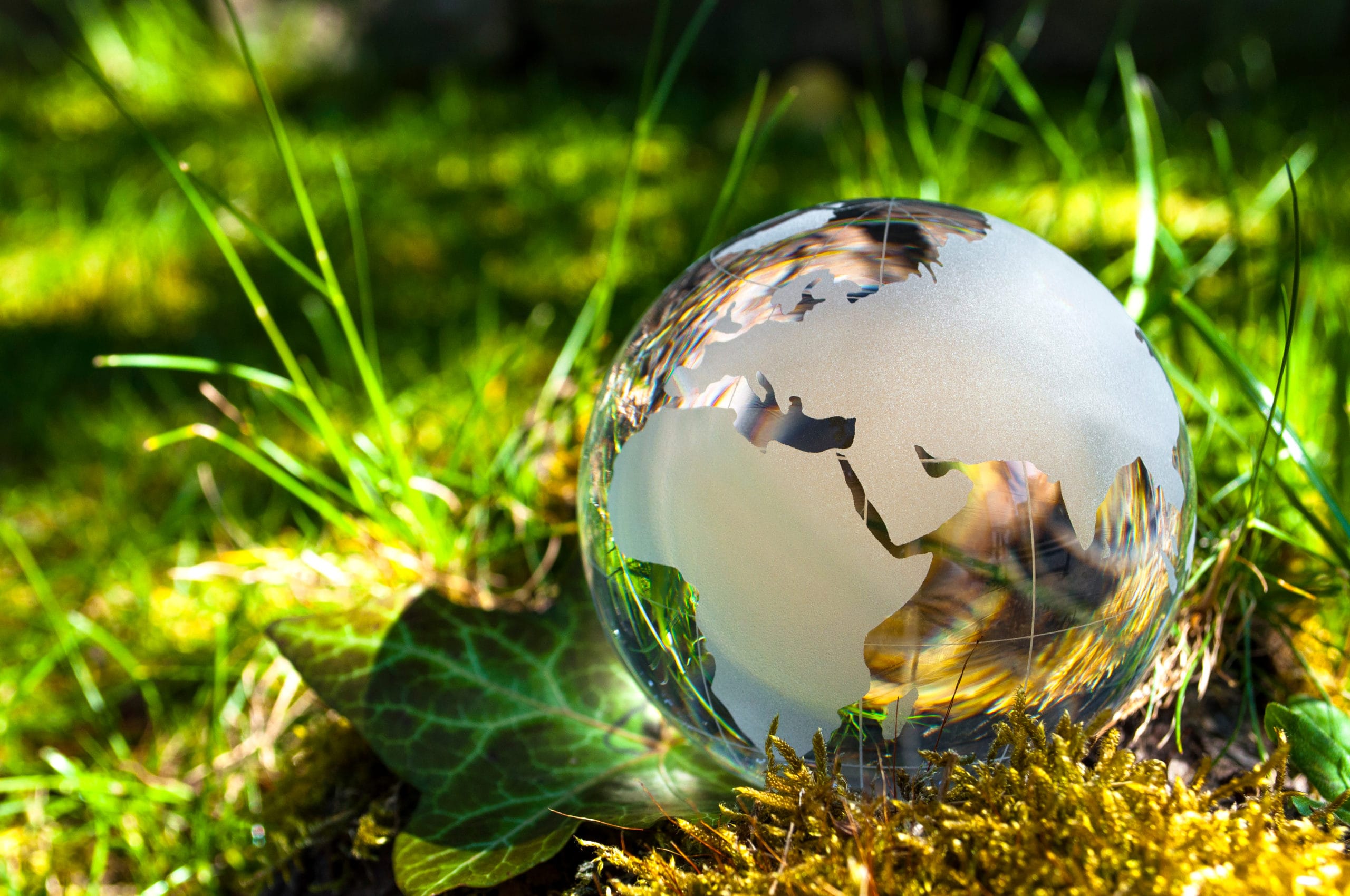 small metal globe outdoors to signify environmental impact