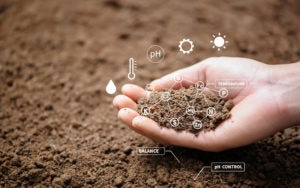 Soil Pollution by Ewaste